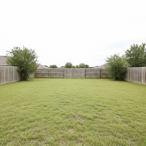 backyard before web backyard before web