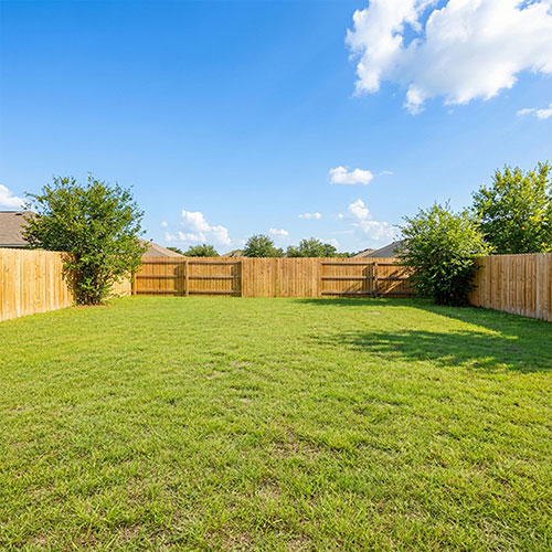 plain grass backyard before pool